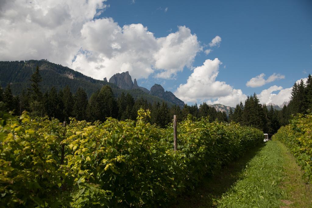 Agriturismo Soreie - Farmstay Vigo di Fassa Exterior foto